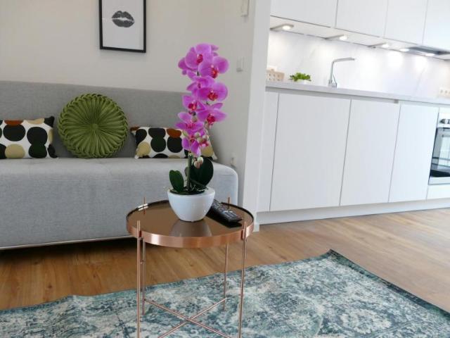 Wohnung mieten in KG Leopoldstadt, Wien