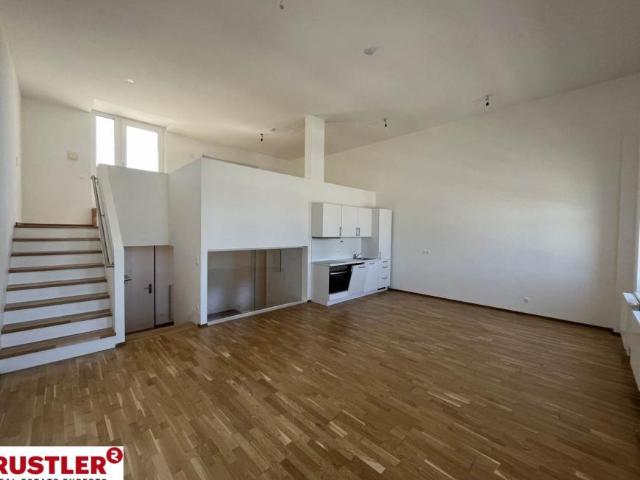 Wohnung mieten in Innere Stadt, Wien