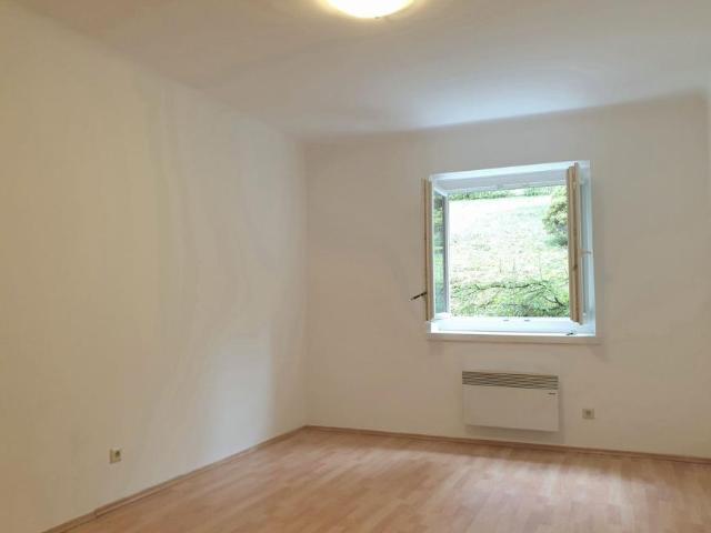 Wohnung mieten in Innere Stadt, Wien