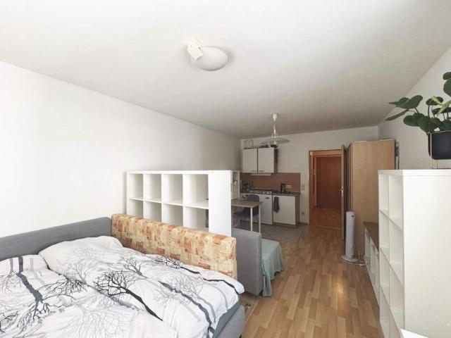 Wohnung mieten in Innere Stadt, Wien