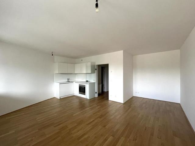 Wohnung mieten in Innere Stadt, Wien