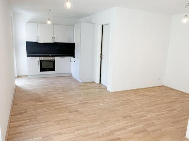 Wohnung mieten in Innere Stadt, Wien