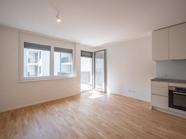 Wohnung mieten in Innere Stadt, Wien