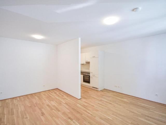 Wohnung mieten in Innere Stadt, Wien