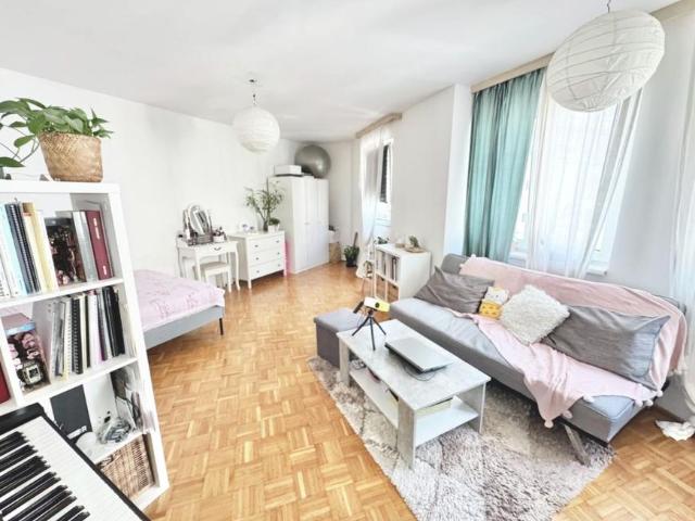 Wohnung mieten in Innere Stadt, Wien