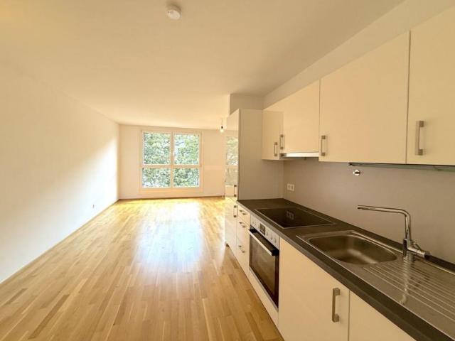 Wohnung kaufen in Innere Stadt, Wien