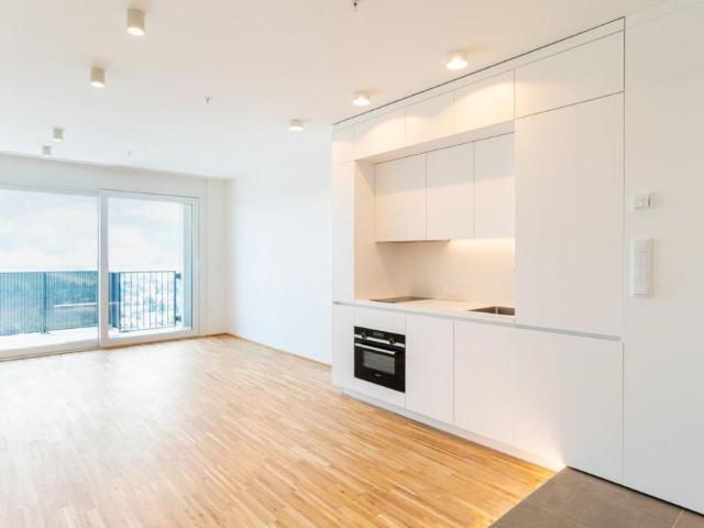 Wohnung mieten in Innere Stadt, Wien
