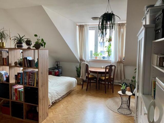Wohnung mieten in Innere Stadt, Wien