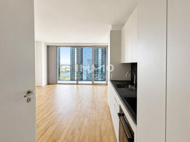 Wohnung mieten in Innere Stadt, Wien
