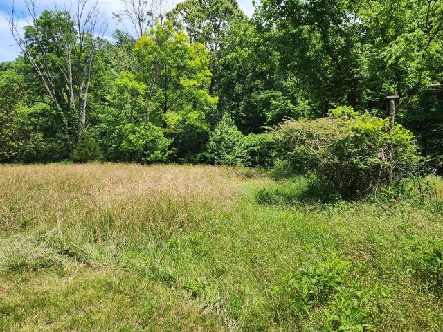 Land for sale in Tennessee