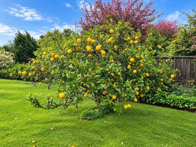 House for sale in Gisborne, Gisborne District