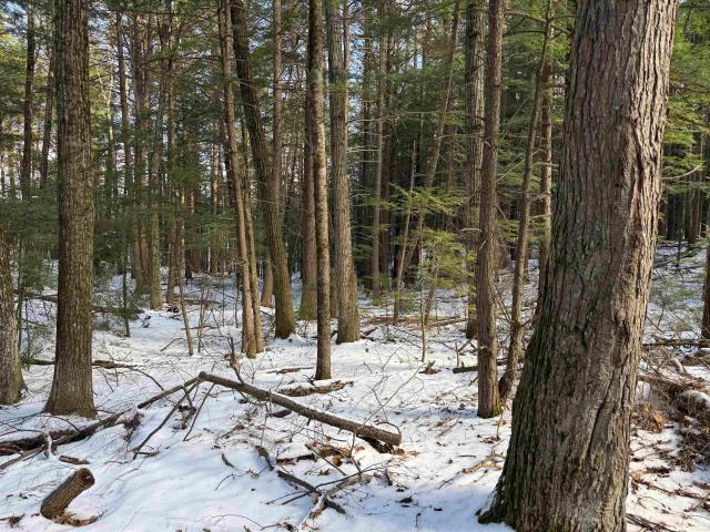Land for sale in New Hampshire