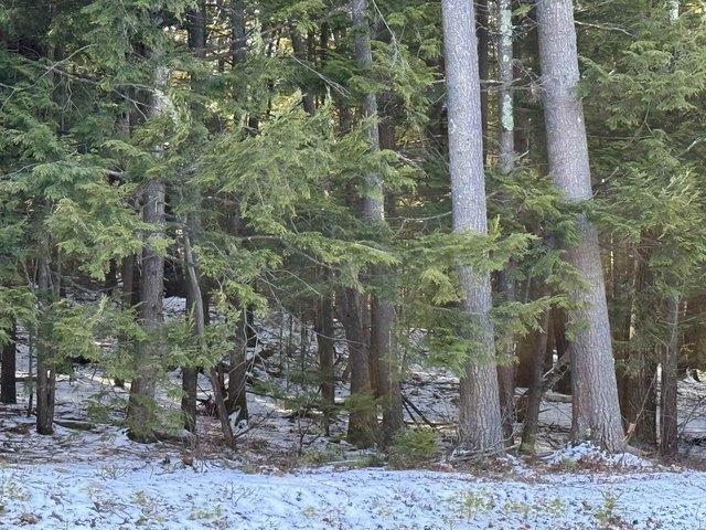Land for sale in New Hampshire