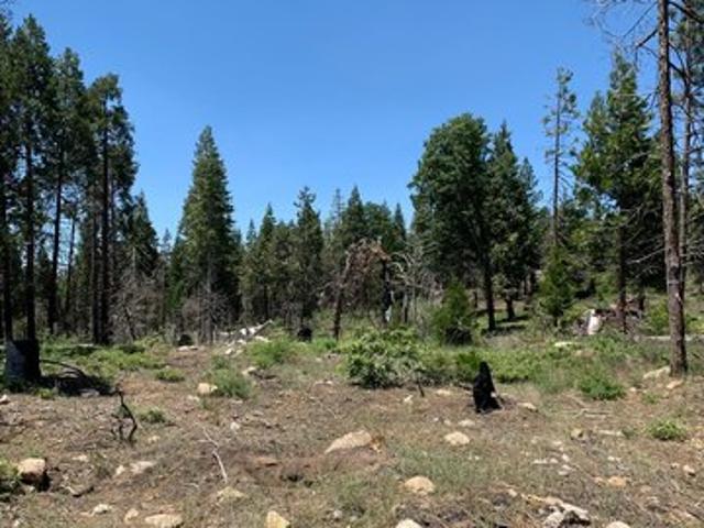 Land for sale in Shaver Lake, California