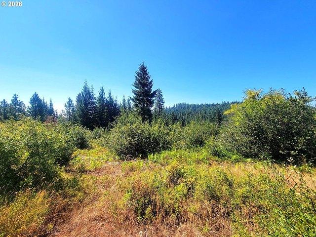Land for sale in Goldendale, Klickitat County
