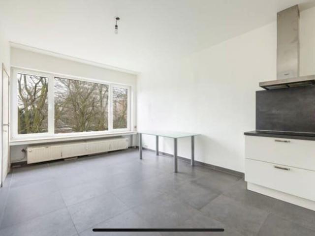 Kot location à Antwerpen