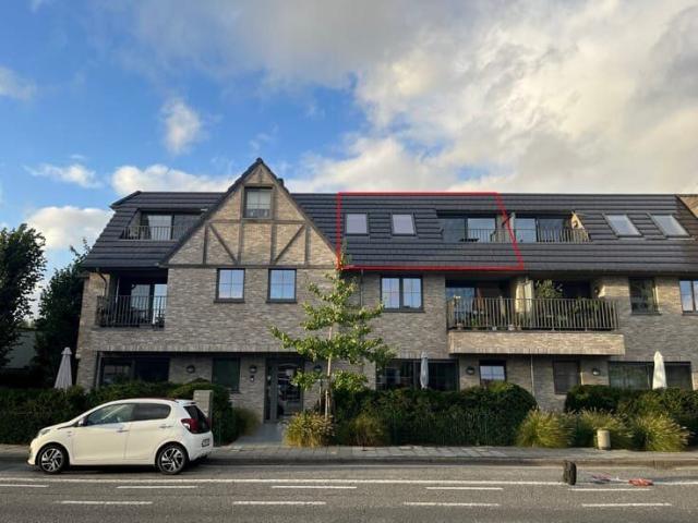 Kot location à Nazaret, Oost-Vlaanderen