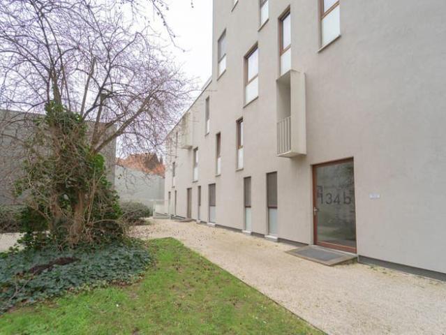 Kot location à Desteldonk, Oost-Vlaanderen