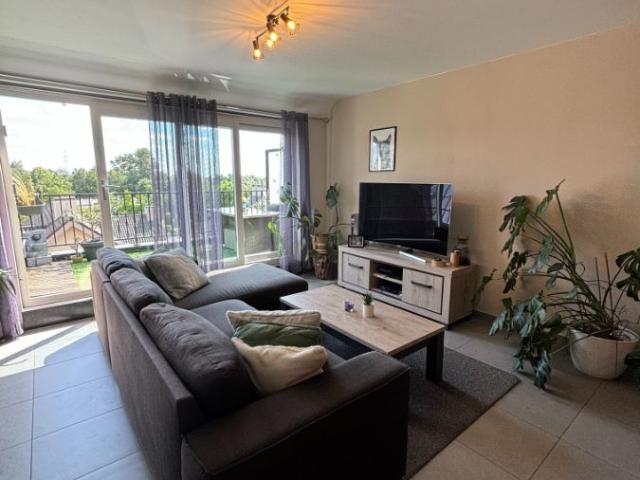 Appartement location à Roeselare, West-Vlaanderen