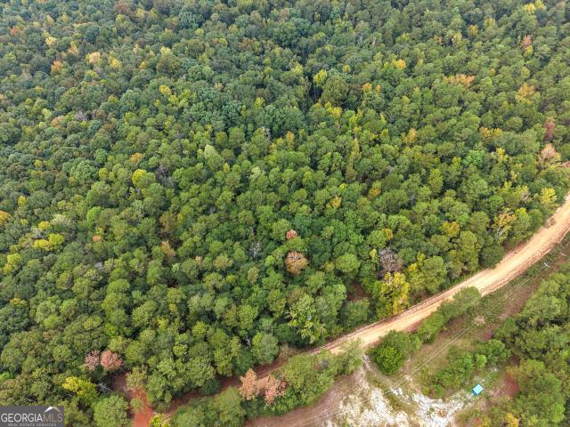 Land for sale in Pleasant Grove, Sandersville