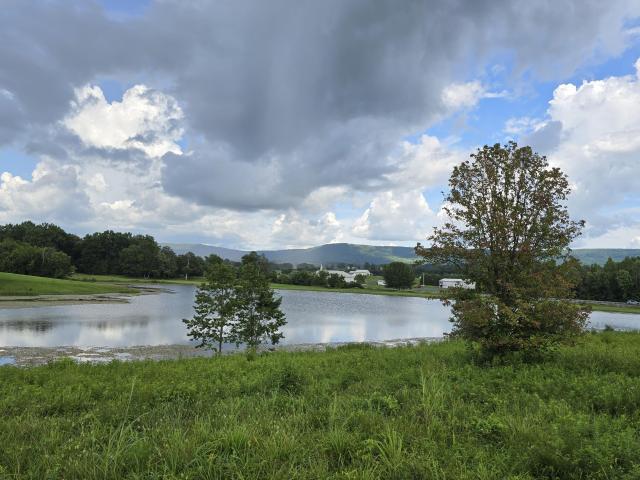 Land for sale in Tennessee