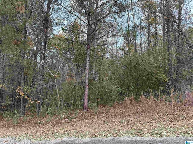 Land for sale in Blount, Alabama