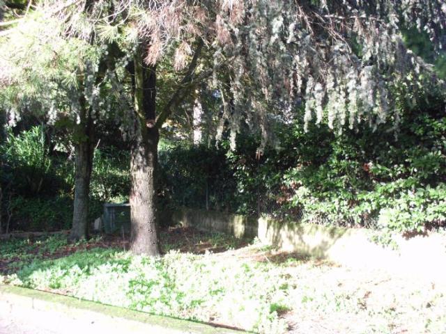 Villa Indipendente in affitto a Ancona