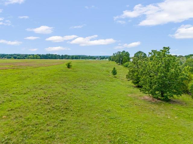 Land for sale in Diana, Texas