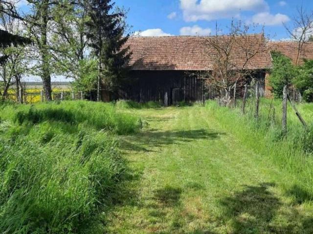 Haus kaufen