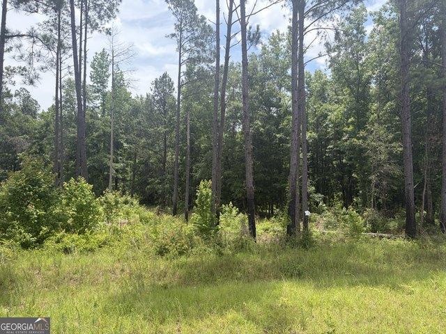 Land for sale in Davisboro, Georgia