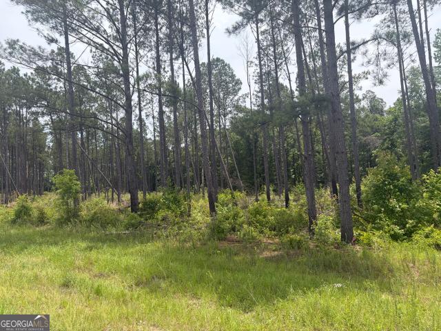 Land for sale in Davisboro, Georgia