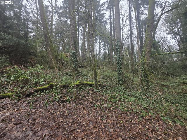 Land for sale in Oregonia