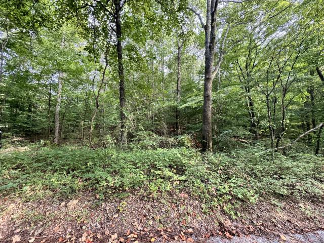 Land for sale in Tennessee