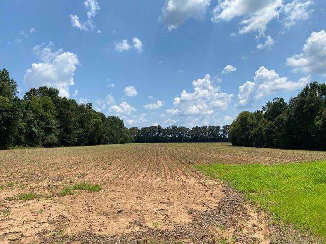 Land for sale in Atmore, Escambia County