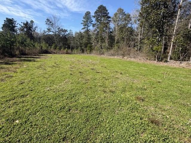 Land for sale in Elba, Alabama