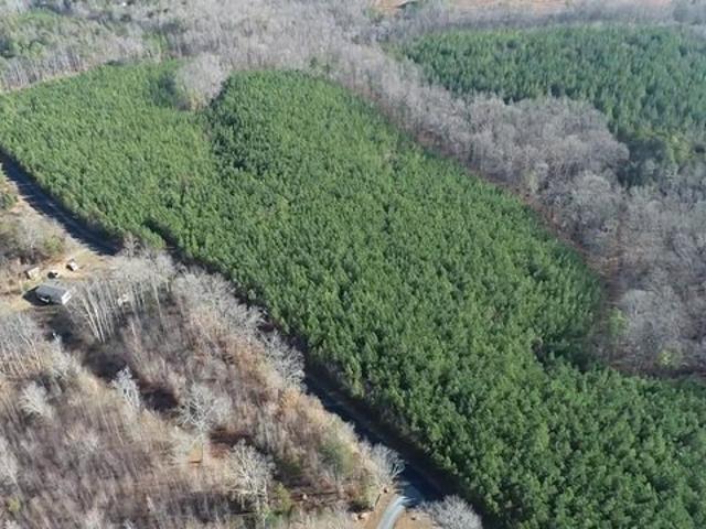 Land for sale in Arvonia, Buckingham County
