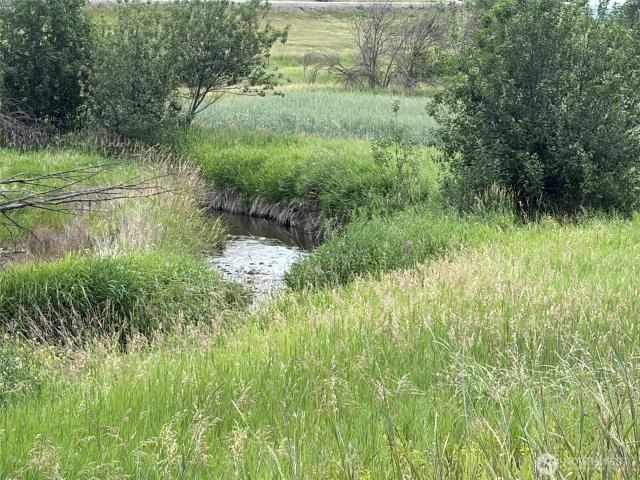 Land for sale in Washington