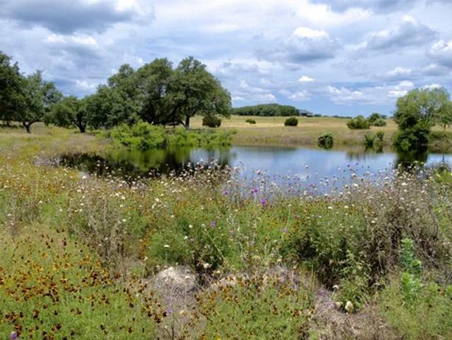 Farm for sale in Lampasas, Lampasas County