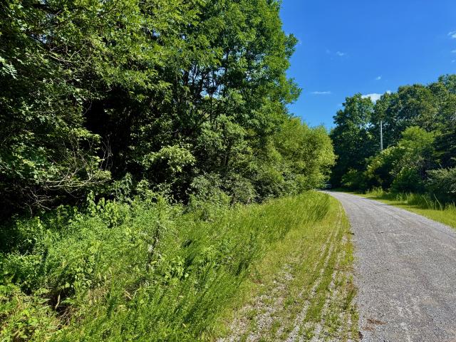 Land for sale in Tennessee