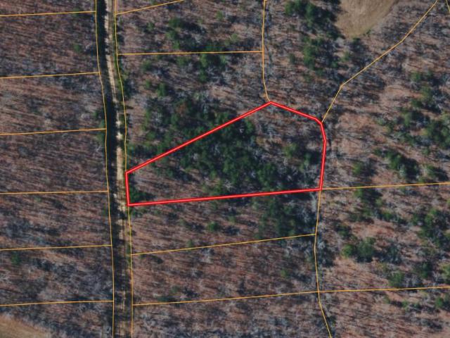 Land for sale in Tennessee