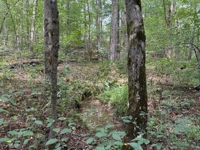 Land for sale in Tennessee