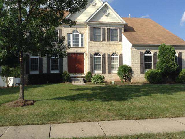 Room for rent in Kendall Park, New Jersey