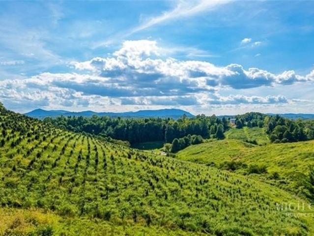 Land for sale in Piney Creek, Alleghany County