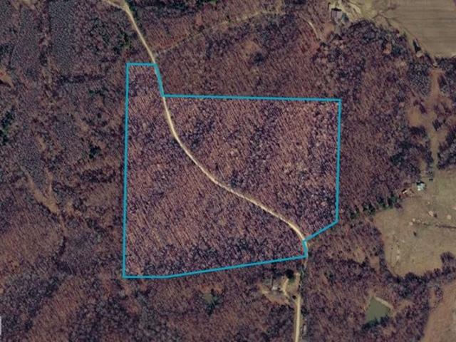 Land for sale in Lafe, Greene County