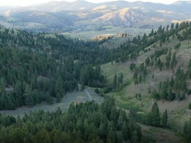 Land for sale in Granite, Montana