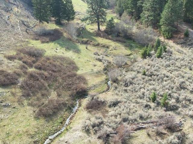 Land for sale in Granite, Montana