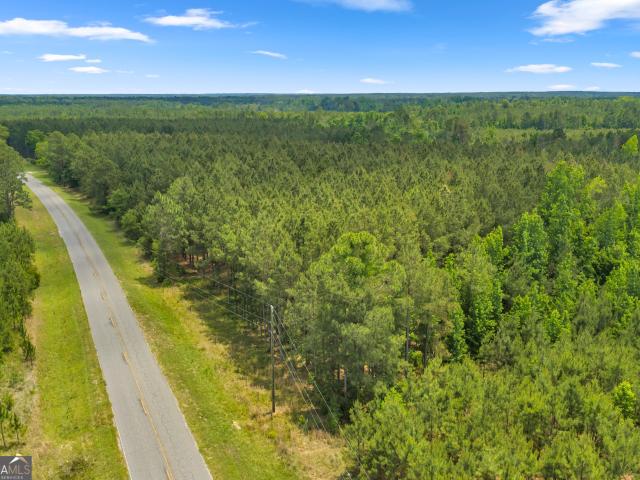 Land for sale in Kite, Georgia