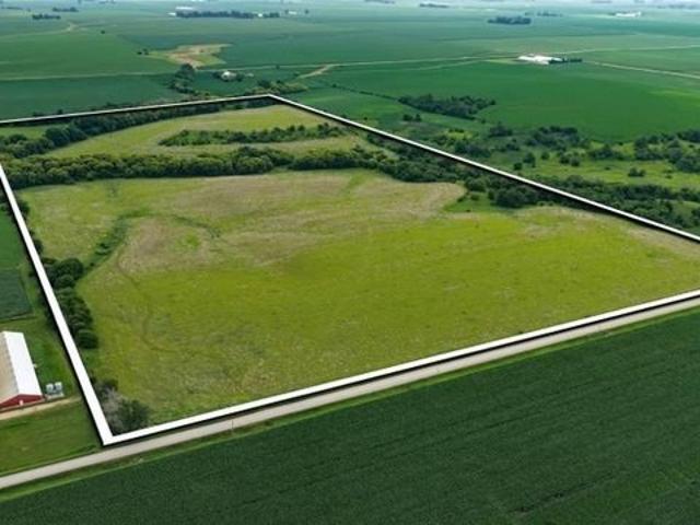 Farm for sale in Geneva, Iowa