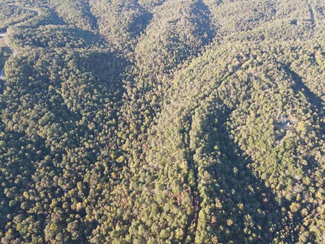 Land for sale in Tennessee