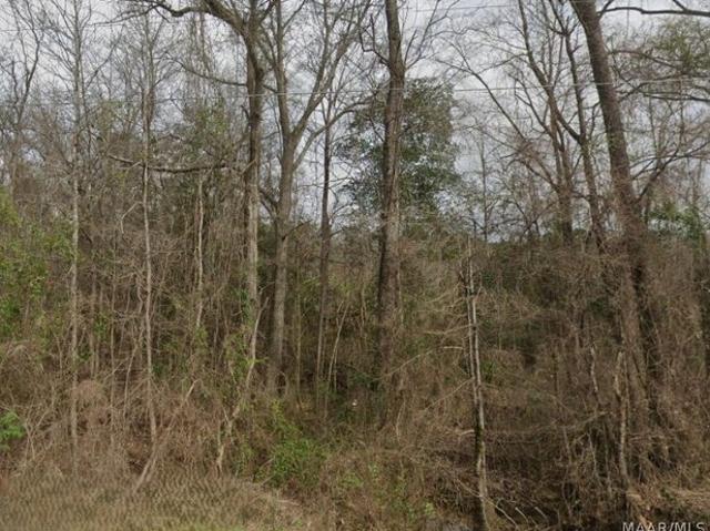 Land for sale in Wetumpka, Elmore County